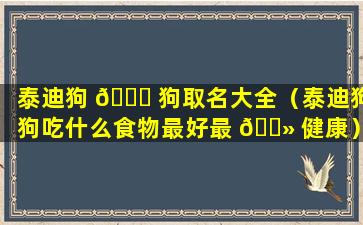 泰迪狗 🐕 狗取名大全（泰迪狗狗吃什么食物最好最 🌻 健康）